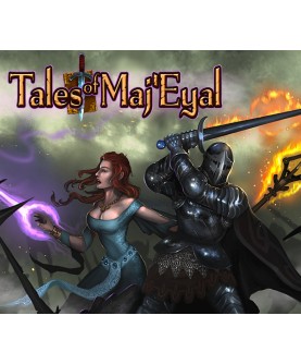 Tales of Maj Eyal Steam Key EUROPE